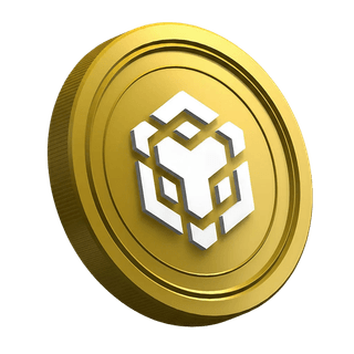 BNB-mynt från Binance på sidan för nybörjarguiden